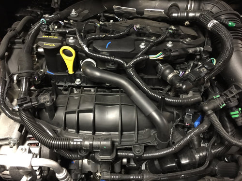 Fiesta ST - 1.6L Ecoboost PCV System